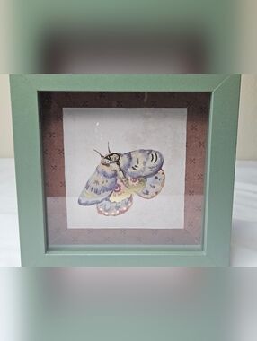Moth Shadow Box Wall Art - Handcrafted